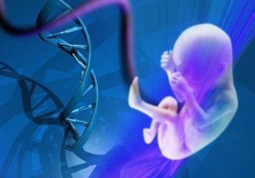 堵奶去醫(yī)院效果好還是找專業(yè)的催乳師好？盲目堵奶對(duì)身體并不好